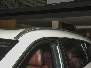 2021PLUS 1.6T DCTPRO+ 5 ^