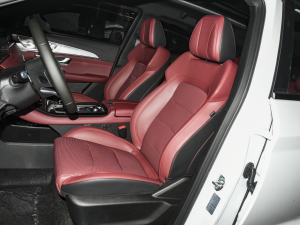 2021款PLUS 1.6T DCT地PRO+ 5座 主驾驶座椅