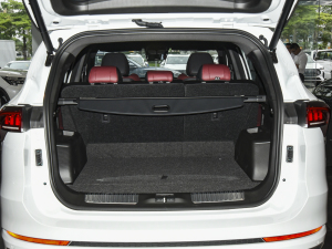 2021款PLUS 1.6T DCT地PRO+ 5座 行李厢空间