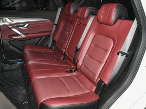 2021款PLUS 1.6T DCT地PRO+ 5座 后排座椅