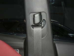 2021PLUS 1.6T DCTPRO+ 5 g