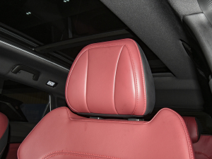 2021PLUS 1.6T DCTPRO+ 5 g