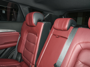 2021PLUS 1.6T DCTPRO+ 5 g