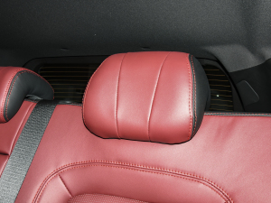 2021PLUS 1.6T DCTPRO+ 5 g