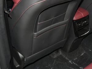 2021PLUS 1.6T DCTPRO+ 5 g