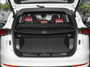 2021PLUS 1.6T DCTPRO+ 5 g