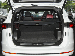 2021PLUS 1.6T DCTPRO+ 5 g