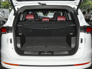 2021PLUS 1.6T DCTPRO+ 5 g