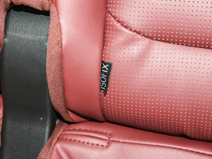 2021PLUS 1.6T DCTPRO+ 5 g