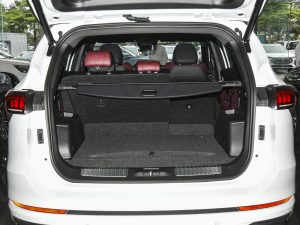 2021PLUS 1.6T DCTPRO+ 5 g