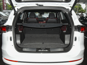 2021PLUS 1.6T DCTPRO+ 5 g