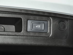 2021PLUS 1.6T DCTPRO+ 5 g