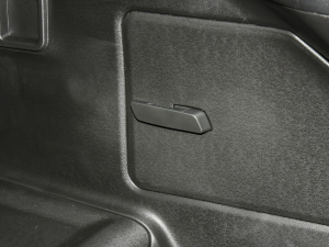 2021PLUS 1.6T DCTPRO+ 5 g