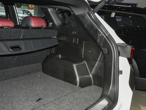 2021PLUS 1.6T DCTPRO+ 5 g