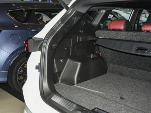 2021PLUS 1.6T DCTPRO+ 5 g