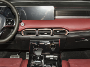 2021PLUS 1.6T DCTPRO+ 5 п_