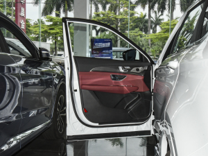 2021PLUS 1.6T DCTPRO+ 5 {λ܇T