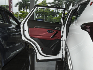 2021PLUS 1.6T DCTPRO+ 5 ܇T