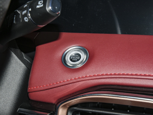 2021PLUS 1.6T DCTPRO+ 5 п؅^(q)