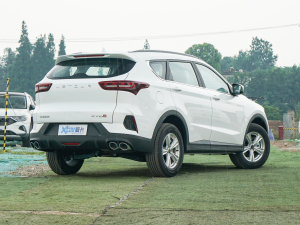 2022款1.5T 手动芳华版 5座 右后45度