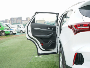 20221.5T քӷA 5 ܇T