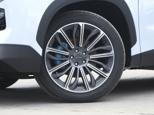 20221.5T DHTW01 (ji)^