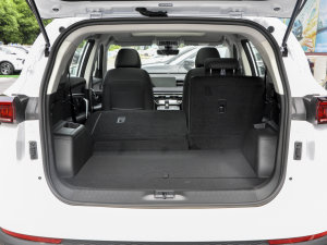 20231.5T ք(dng)PRO 5 g