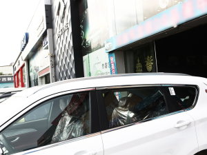 20231.5T DCTPLUS 5 ^