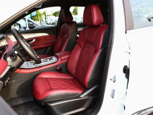 20231.5T DCTPLUS 5 {