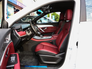 20231.5T DCTPLUS 5 ǰſg