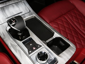 20231.5T DCTPLUS 5 g