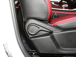 20231.5T DCTPLUS 5 g