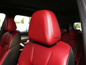 20231.5T DCTPLUS 5 g