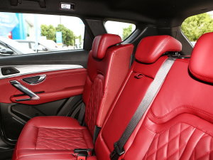 20231.5T DCTPLUS 5 g