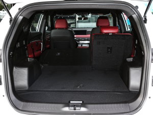 20231.5T DCTPLUS 5 g