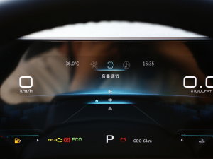 20231.5T DCTPLUS 5 п؅^