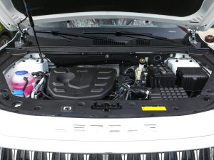 20231.5T DCTPLUS 5 l(f)әC