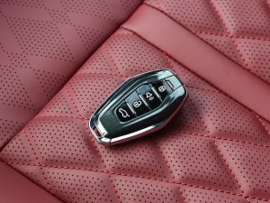 20231.5T DCTPLUS 5 ܇耳