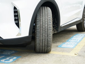 20231.5T DCTPLUS 7 (x)(ji)^