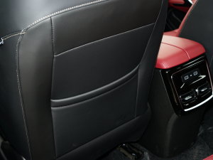 20231.5T DCTPLUS 7 g