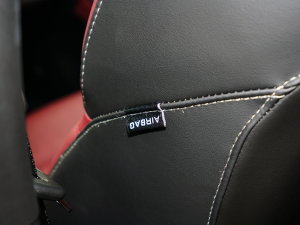 20231.5T DCTPLUS 7 п؅^(q)