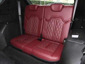 20232.0T DCT(qing)M(jn)AX 7 g