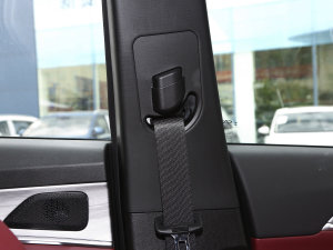 20232.0T DCT(qing)M(jn)AX 7 g