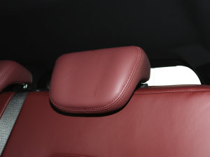 20232.0T DCT(qing)M(jn)AX 7 g