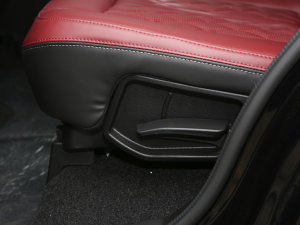 20232.0T DCT(qing)M(jn)AX 7 g