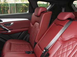 20232.0T DCT(qing)M(jn)AX 7 g