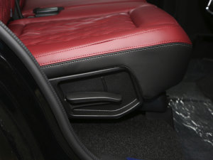 20232.0T DCT(qing)M(jn)AX 7 g