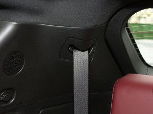 20232.0T DCT(qing)M(jn)AX 7 g