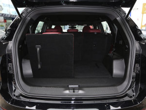 20232.0T DCT(qing)M(jn)AX 7 g