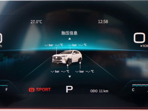 20232.0T DCTMAX 5 п؅^